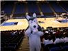 Night at the Target Center